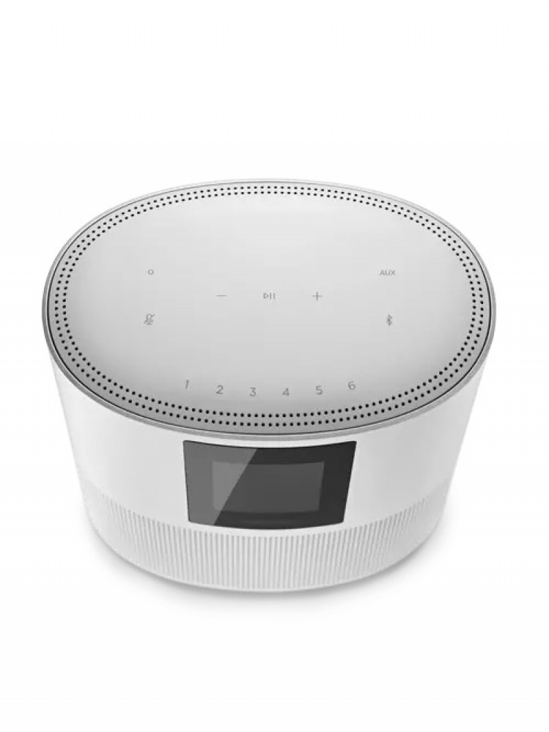 Luxe Silver Bose Smart Speaker 500 | NW7286501