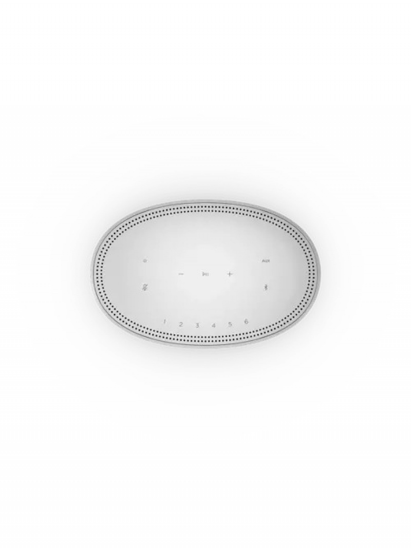 Luxe Silver Bose Smart Speaker 500 | NW7286501